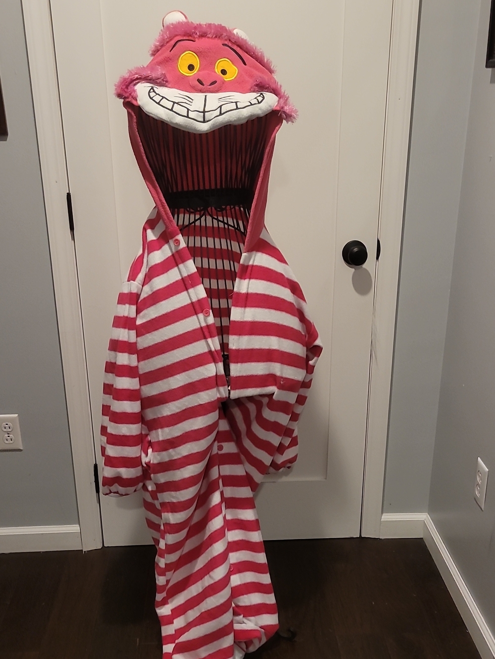 Cat In The Hat Cheshire Cat